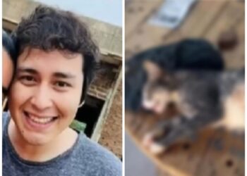 La Policía busca a José Ayala, acusado por el biocidio de su mascota, Michita.