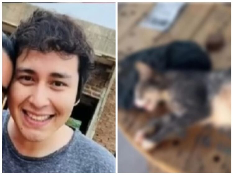La Policía busca a José Ayala, acusado por el biocidio de su mascota, Michita.