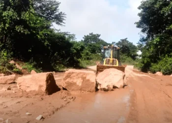 transporte