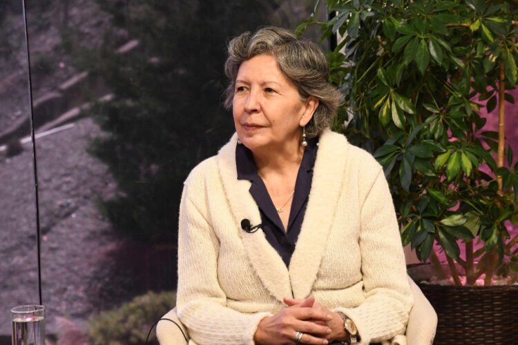 Amparo Ballivián plantea eliminar la subvención a combustibles y permitir la libre importación
