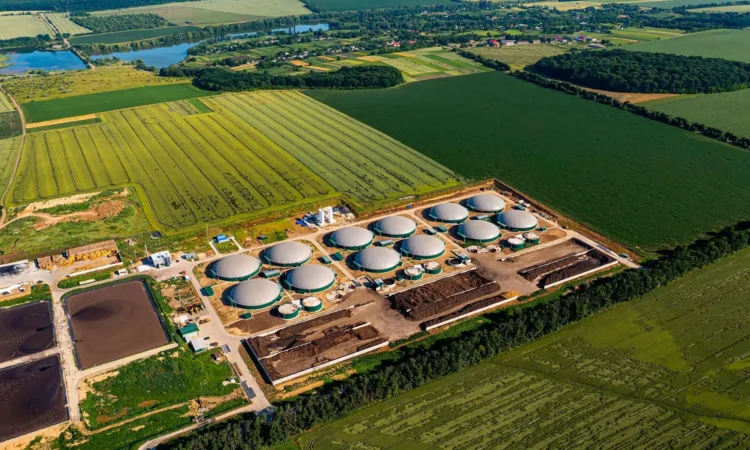 Biogás y biometano: nuevas oportunidades energéticas