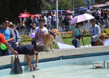 El Senamhi activa alerta en seis departamentos por calor de hasta 41 grados