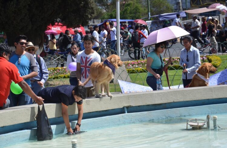 El Senamhi emite alerta por calor de hasta 41 grados en 6 departamentos