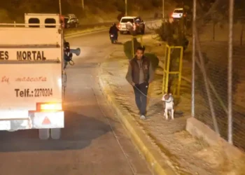 ‘Época de lluvias, peluditos en casa’, la nueva campaña en La Paz