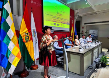 La canciller Sosa llama a países de la OTCA a unir esfuerzos contra los incendios