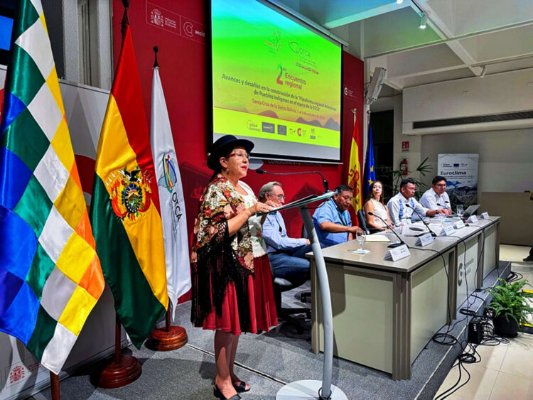 La canciller Sosa llama a países de la OTCA a unir esfuerzos contra los incendios
