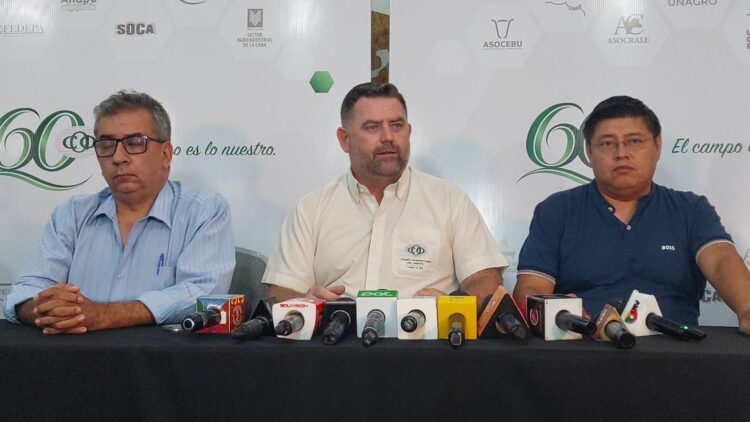 Sectores insisten en derogación de la disposición séptima