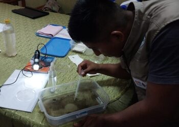 Salud halla huevecillos en Caranavi y pide reforzar plan contra el dengue
