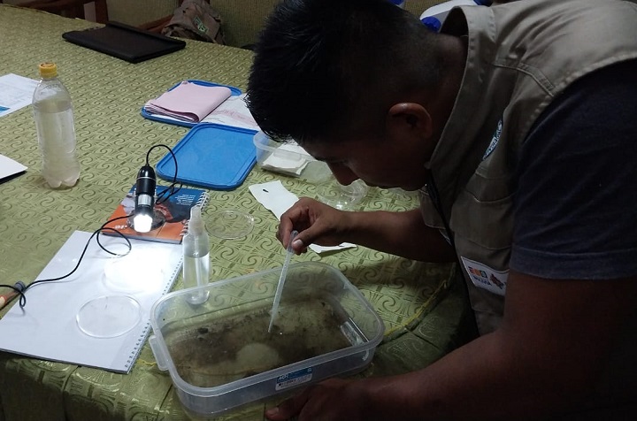 Salud halla huevecillos en Caranavi y pide reforzar plan contra el dengue