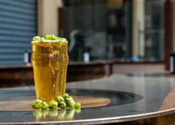 Consumo moderado de cerveza:  aliado para reducir el cortisol elevado, hormona del estrés