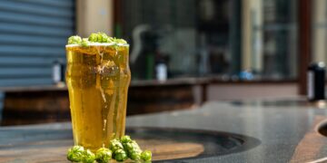 Consumo moderado de cerveza: aliado para reducir el cortisol elevado, hormona del estrés
