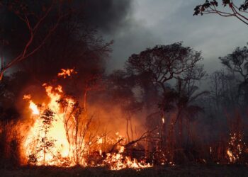 Dos áreas protegidas se encuentran afectadas por incendios