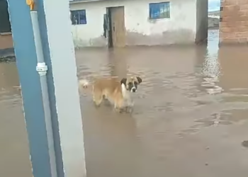 ríos