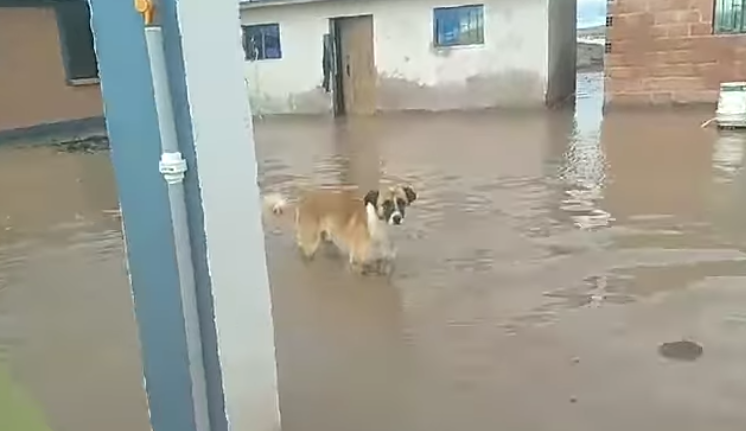 ríos