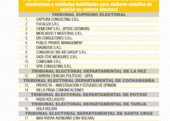 TSE habilita a 18 encuestadoras y 89 medios para difundir estudios de opinión