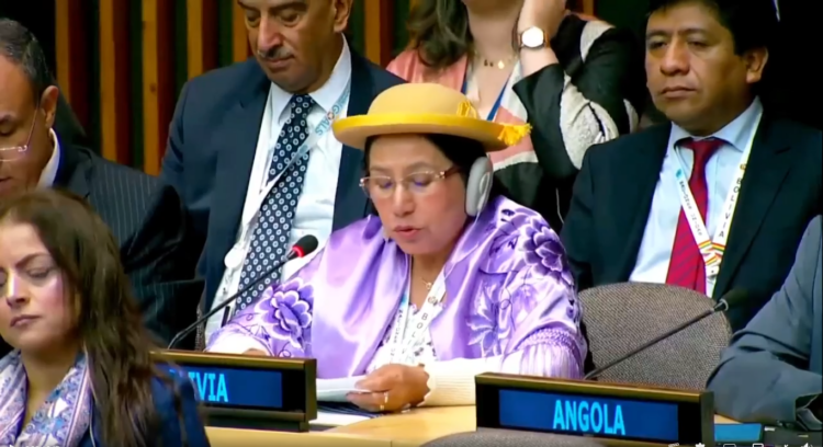 La canciller Sosa denuncia en la ONU los intentos de acortar mandato de Arce