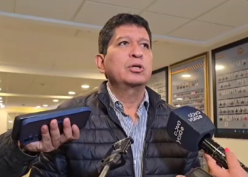 MAS evista no descarta que se trate por dispensación de trámite la ley de escaños en el Senado