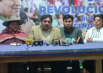 MAS evista dice que aún no fueron notificados con decisión del TSE