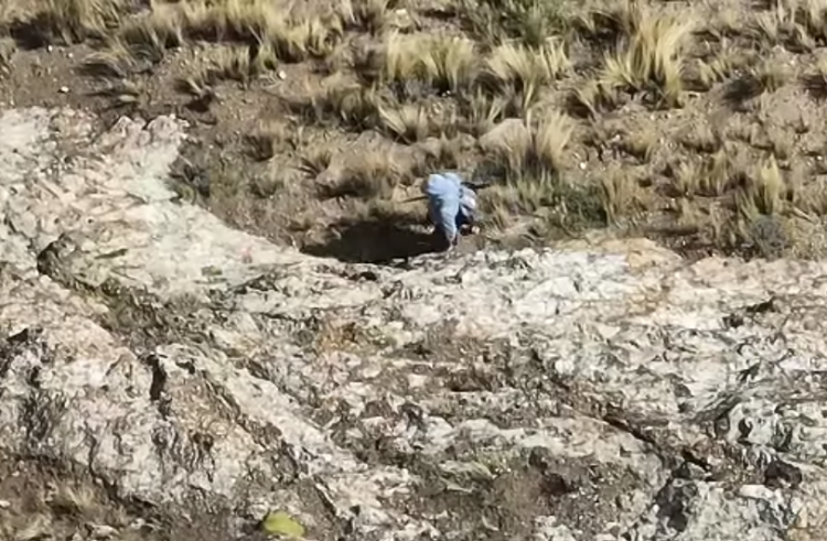 Policía busca a autores de la emboscada armada a uniformados en la vía Oruro-Potosí