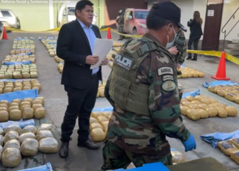 En Cochabamba, la FELCN secuestra casi 900 kilos de marihuana en tres operativos antinarcóticos