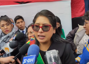 Evo Copa confirma participación de Morena en elecciones generales