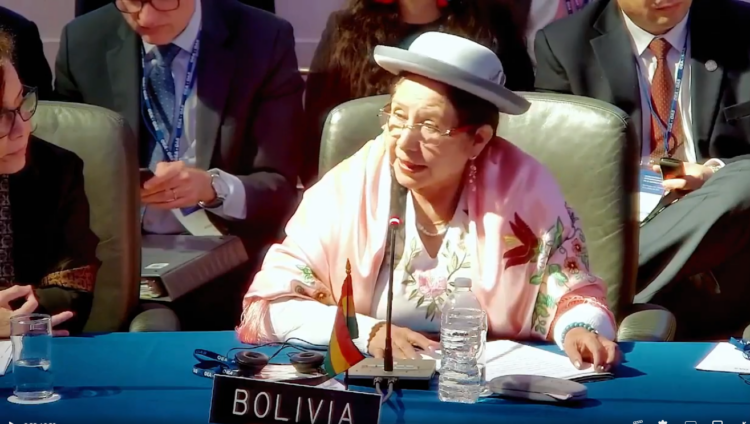 Canciller recuerda que la OEA es bienvenida para las elecciones, pero sin injerencias
