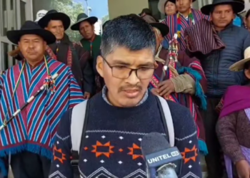 Pueblos originarios presentan otra acción de inconstitucionalidad y suman los amparos contra las elecciones