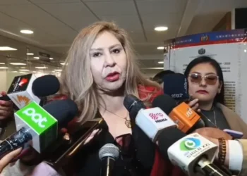 Senadora Arce señala que ley del TREP ya fue aprobado por la comisión