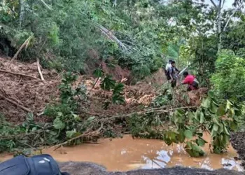 Lluvias en Caranavi dejan 800 familias y 102 comunidades afectadas