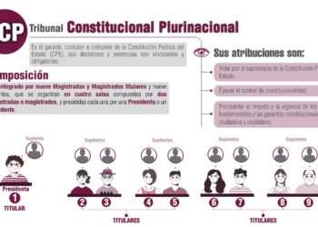 Cómo se eligen a los magistrados del Tribunal Constitucional Plurinacional