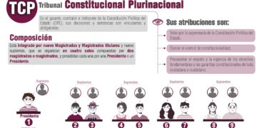 Cómo se eligen a los magistrados del Tribunal Constitucional Plurinacional