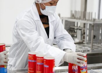 Papax chips, elaboradas en la Planta de Papa de El Alto, saldrán al mercado en octubre.