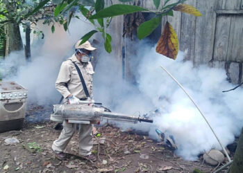 Ante el riesgo de dengue, Sedes envía brigadas al norte paceño