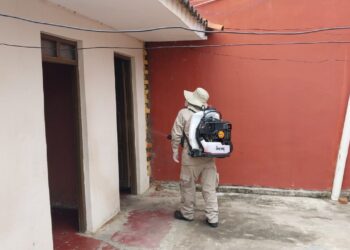 La Paz reporta cero casos de dengue y manda más personal a zonas endémicas