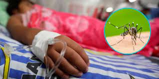 Cochabamba reporta las dos primeras muertes de este 2024 por dengue.