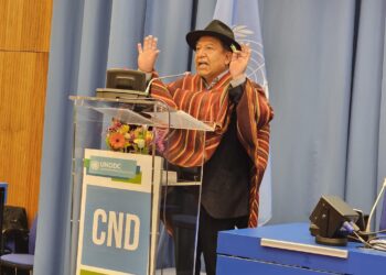 Ante la ONU, Choquehuanca declara el fracaso de la guerra contra las drogas