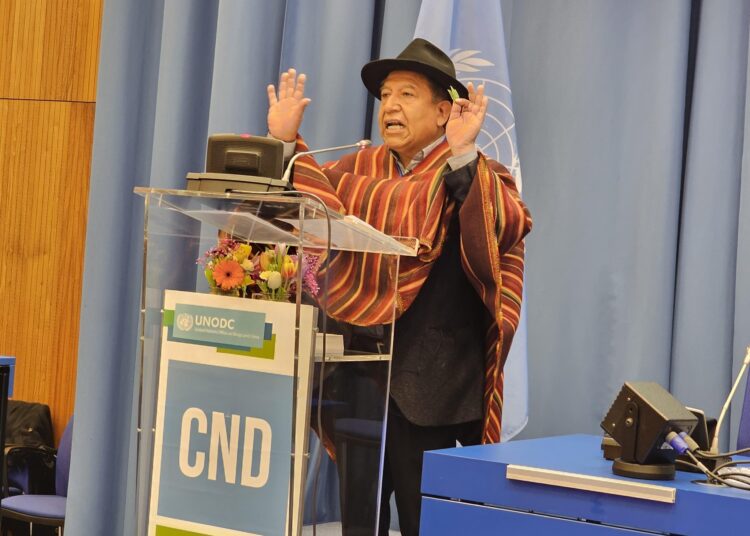 Ante la ONU, Choquehuanca declara el fracaso de la guerra contra las drogas