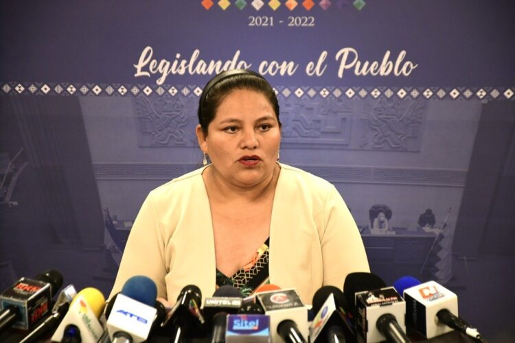 ¿Qué se debatirá este viernes en la Cámara de Diputados? Conozca las ‘prioridades’