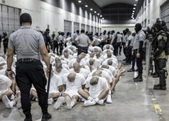 Inmigrantes: primero vinieron por los venezolanos