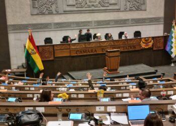 Diputados aprueba crédito por $us 75 millones para atender incendios