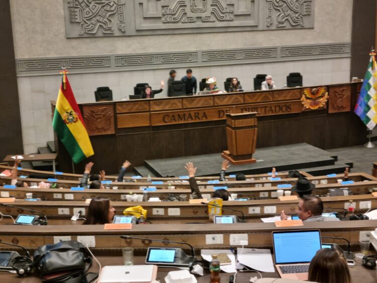 Diputados aprueba crédito por $us 75 millones para atender incendios