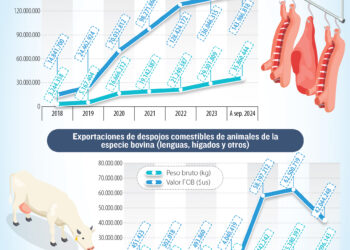 Récord de exportación de carne bovina en medio de alza de precios