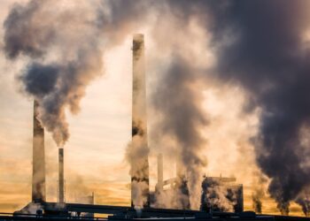 COP29: adelantan acuerdos sobre emisiones de metano