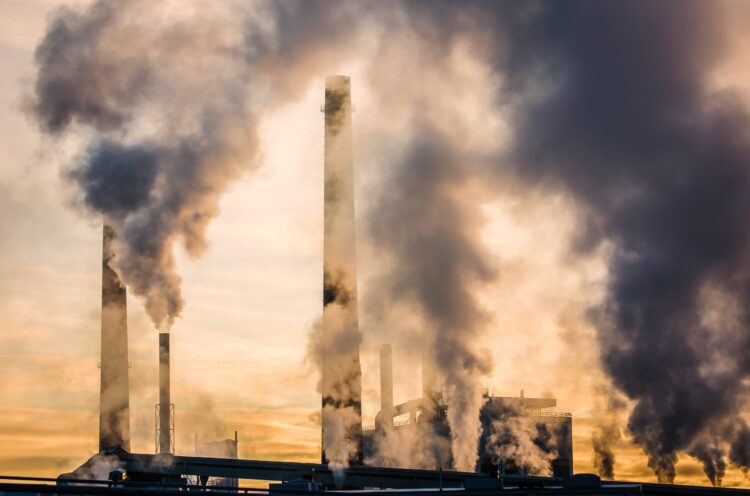 COP29: adelantan acuerdos sobre emisiones de metano