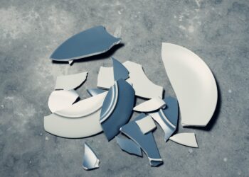El error de insistir en el error