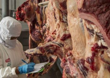 Ganaderos niegan que exportaciones causen alza de precios