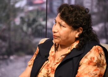 Dina Chuquimia advierte sobre el acuerdo entre el TSE y el TCP