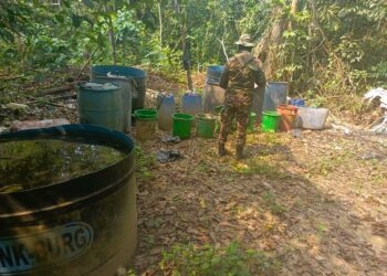 Del Castillo reporta el hallazgo de 44 fábricas de cocaína en Villa Tunari