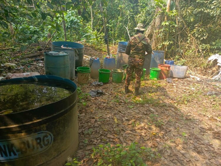 Del Castillo reporta el hallazgo de 44 fábricas de cocaína en Villa Tunari