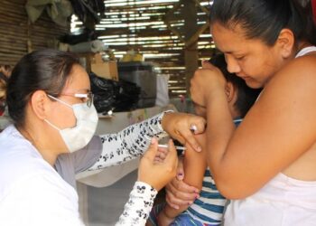 El Ministerio de Salud confirma el primer caso de fiebre amarilla de 2025